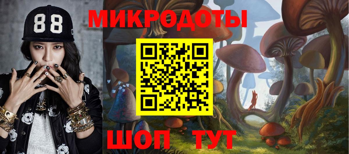 Псилоцибиновые грибы Psilocybe Михайловка